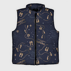 Мужской жилет Карта мародёров Гарри Поттер, цвет: 3D-черный