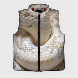 Мужской жилет Мой удав