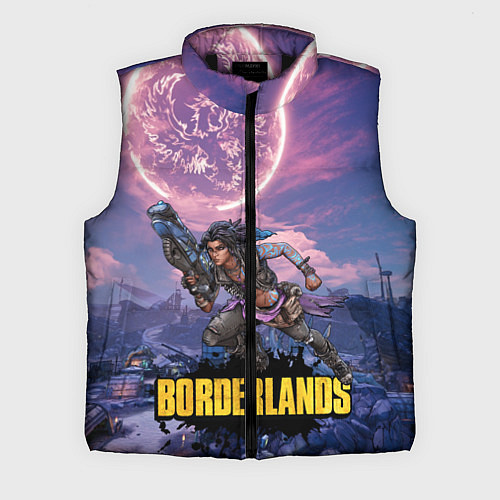 Мужской жилет Borderlands вооружение / 3D-Черный – фото 1