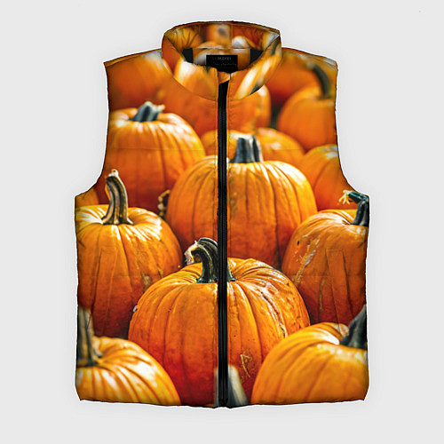 Мужской жилет Много тыкв / 3D-Черный – фото 1