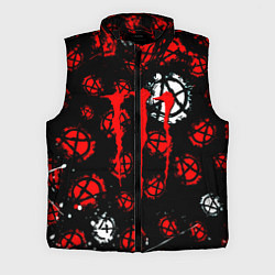 Мужской жилет Monster energy anarhy