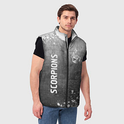 Мужской жилет Scorpions - grey gradient вертикально, цвет: 3D-черный — фото 2