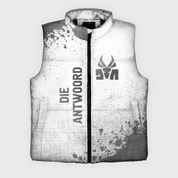 Мужской жилет Die Antwoord - white gradient вертикально