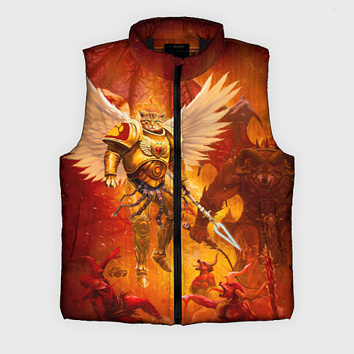 Мужской жилет Кот примарх / 3D-Черный – фото 1