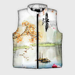 Мужской жилет China Landscape