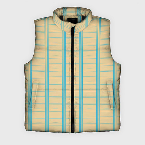 Мужской жилет Color beige cage light blue stripes / 3D-Черный – фото 1