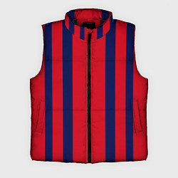 Мужской жилет Color black red stripes