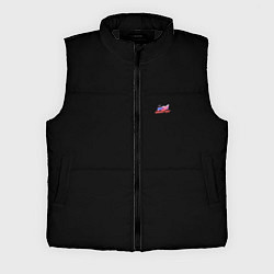 Мужской жилет Всероссийский день хоккея