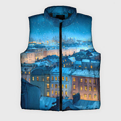 Мужской жилет Крыши зимнего Питера
