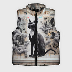 Мужской жилет Кошка Корниш-рекс - ретро граффити