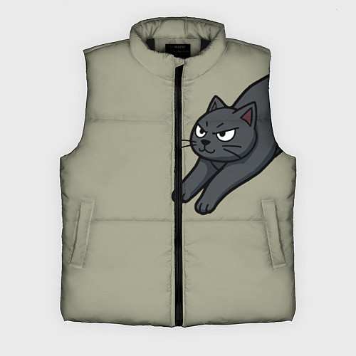 Мужской жилет Подозрительно лежачий кот / 3D-Черный – фото 1