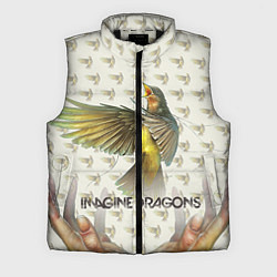 Мужской жилет Imagine Dragons: Fly, цвет: 3D-черный