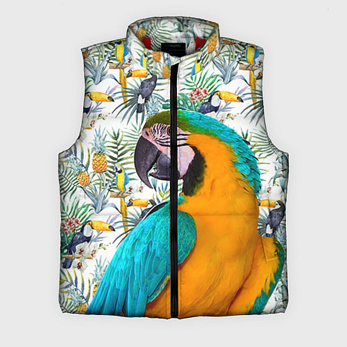 Мужской жилет Летний попугай / 3D-Красный – фото 1