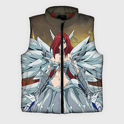 Мужской жилет Fairy tail, цвет: 3D-красный