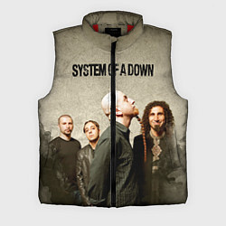 Мужской жилет System of a Down, цвет: 3D-красный