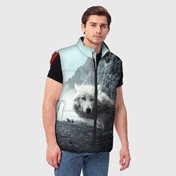 Мужской жилет Волк в горах, цвет: 3D-красный — фото 2