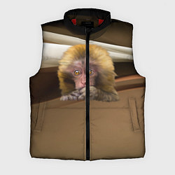 Мужской жилет Мартышка, цвет: 3D-красный