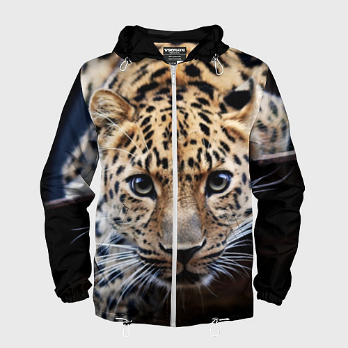 Мужская ветровка Дикая кошка / 3D-Белый – фото 1