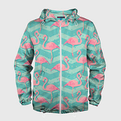 Мужская ветровка Flamingo Pattern