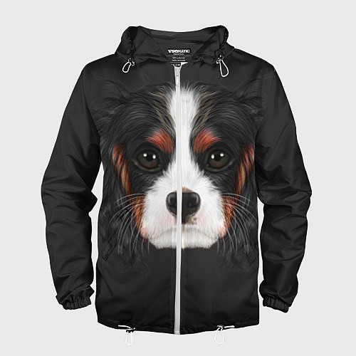 Мужская ветровка Cavalier King Charles / 3D-Белый – фото 1