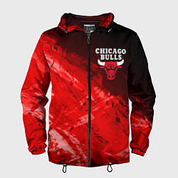 Мужская ветровка CHICAGO BULLS