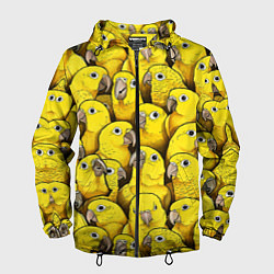 Ветровка с капюшоном мужская Попугаи, цвет: 3D-черный