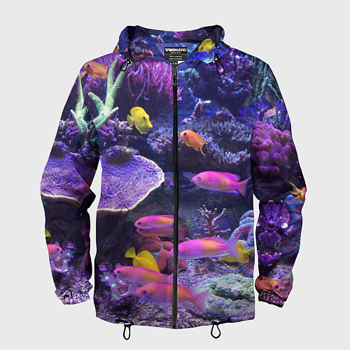 Мужская ветровка Коралловые рыбки / 3D-Черный – фото 1
