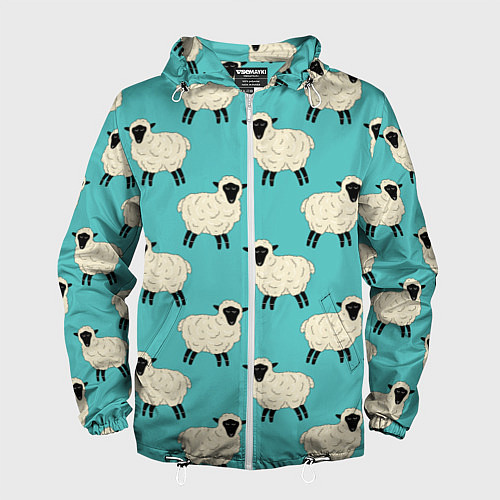Мужская ветровка Овечки паттерн на бирюзовом / 3D-Белый – фото 1