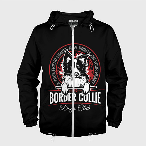 Мужская ветровка Бордер-Колли Border Collie / 3D-Белый – фото 1