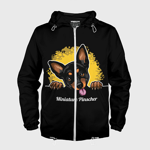 Мужская ветровка Пинчер Miniature Pinscher / 3D-Белый – фото 1