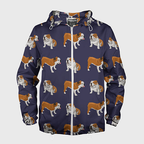 Мужская ветровка Английские бульдоги паттерн / 3D-Белый – фото 1