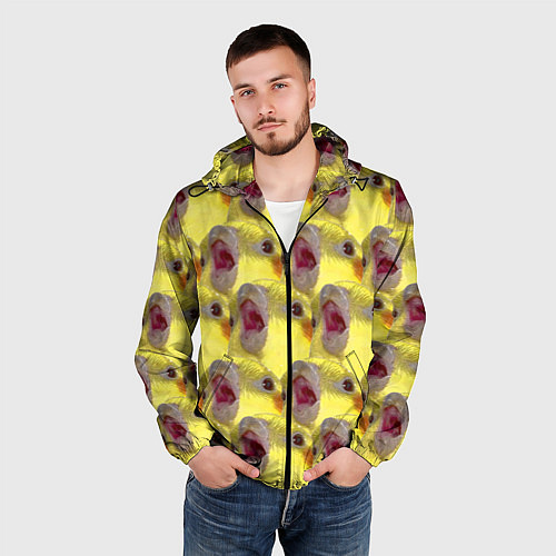 Мужская ветровка Попугай Корелла Орёт Мем / 3D-Черный – фото 3