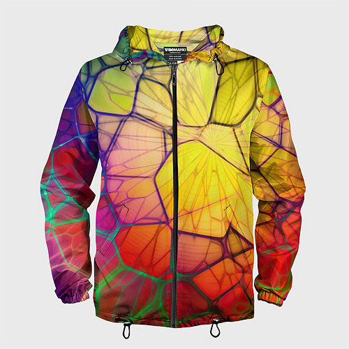 Мужская ветровка Абстрактные цветные фигуры / 3D-Черный – фото 1