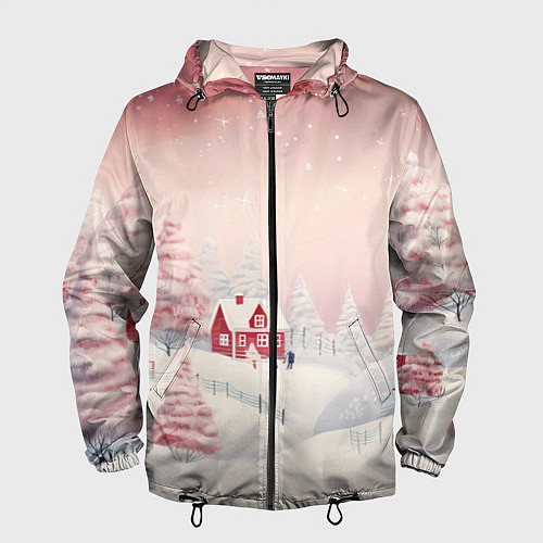 Мужская ветровка Снежное сияние ночи / 3D-Черный – фото 1