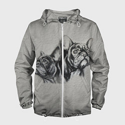 Мужская ветровка Французские бульдоги пара