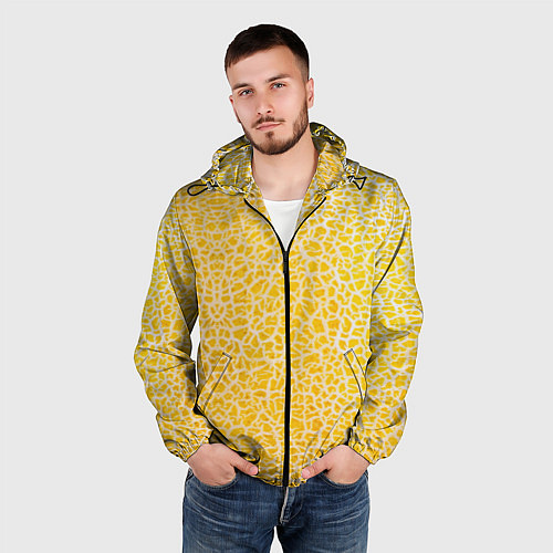 Мужская ветровка Дыня текстура / 3D-Черный – фото 3