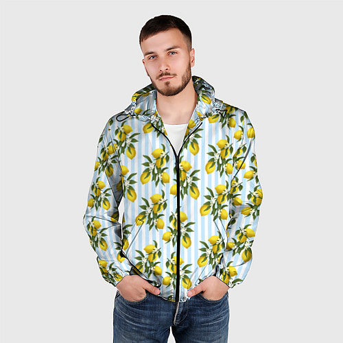 Мужская ветровка Ветка летних лимонов - голубые полосы / 3D-Черный – фото 3