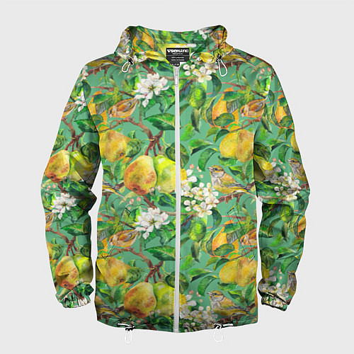 Мужская ветровка Груши и птицы / 3D-Белый – фото 1
