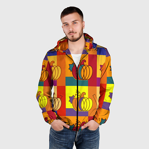Мужская ветровка Тыква разноцветная / 3D-Черный – фото 3