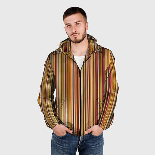 Мужская ветровка Полосатость / 3D-Черный – фото 3