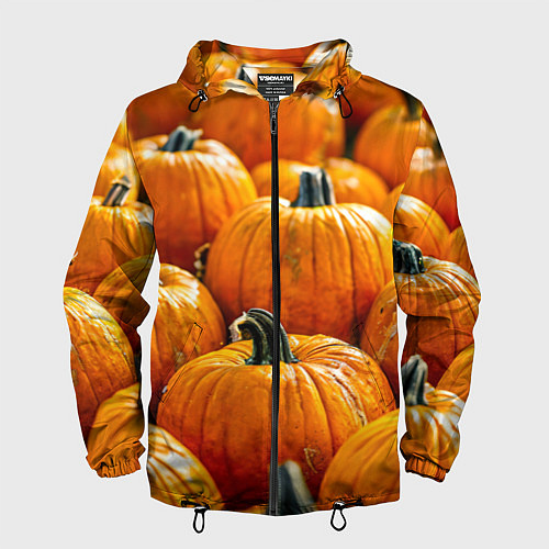 Мужская ветровка Много тыкв / 3D-Черный – фото 1