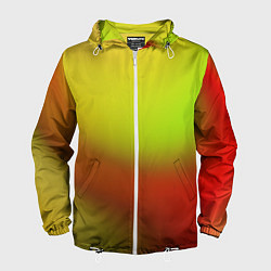 Мужская ветровка Color multicolored gradient