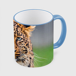 Кружка 3D Грустный леопард, цвет: 3D-небесно-голубой кант