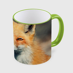 Кружка 3D Лисица, цвет: 3D-светло-зеленый кант
