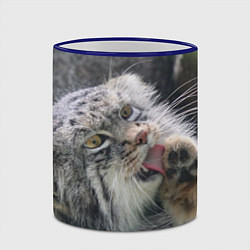 Кружка 3D Манул Лапка, цвет: 3D-синий кант — фото 2