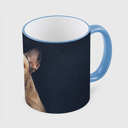 Кружка 3D Голова французского бульдога, цвет: 3D-небесно-голубой кант