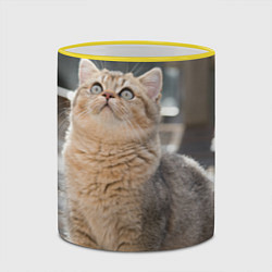 Кружка 3D Британская короткошёрстная кошка смотрит вверх, цвет: 3D-желтый кант — фото 2