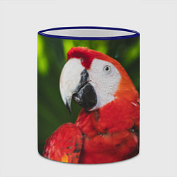 Кружка 3D Красный попугай Ара, цвет: 3D-синий кант — фото 2