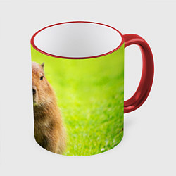 Кружка 3D Capybara on green grass, цвет: 3D-красный кант