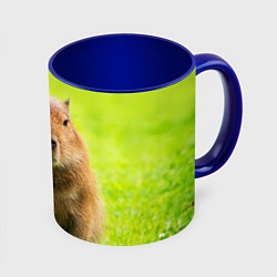 Кружка 3D Capybara on green grass, цвет: 3D-белый + синий